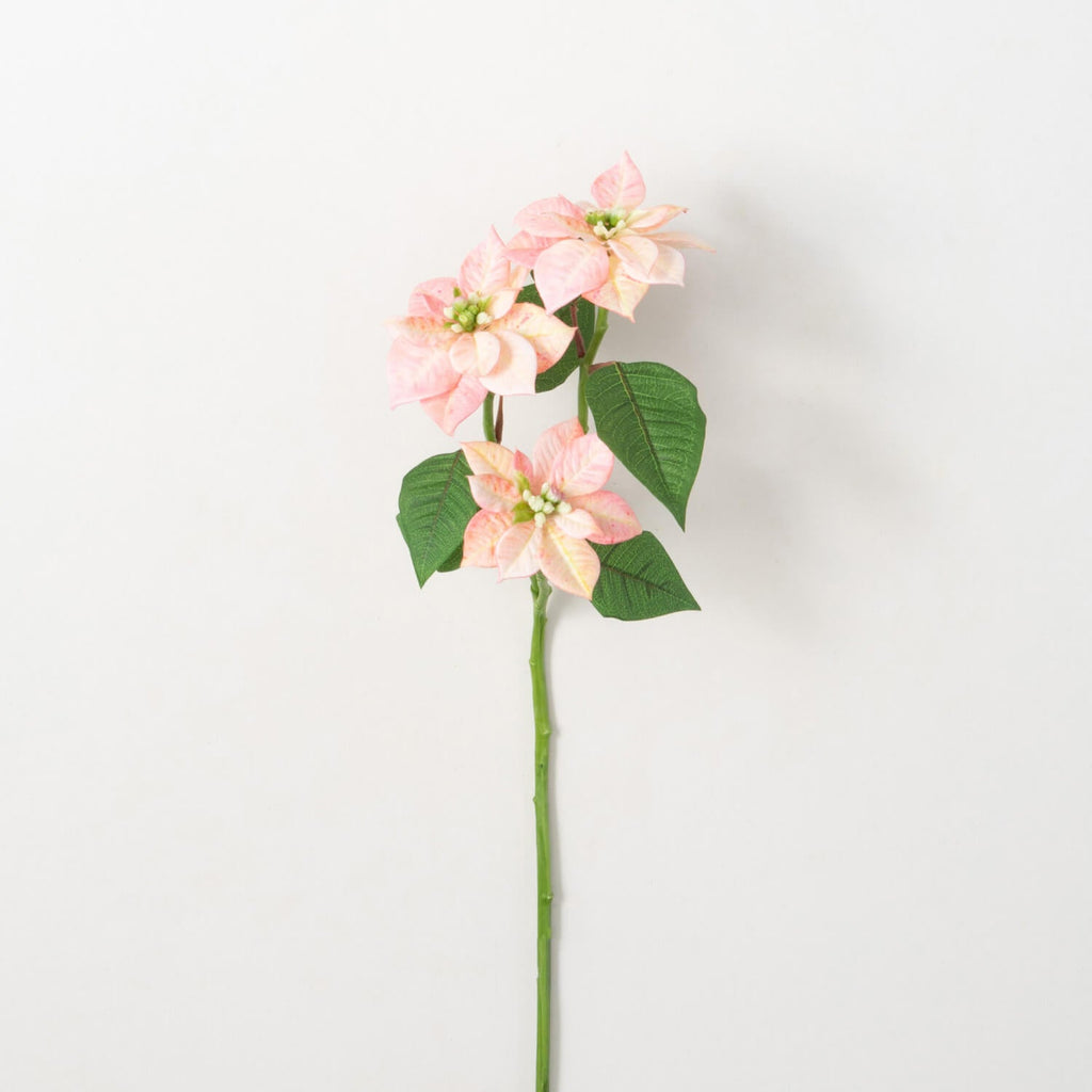 Mini Pink Poinsettias Stem    