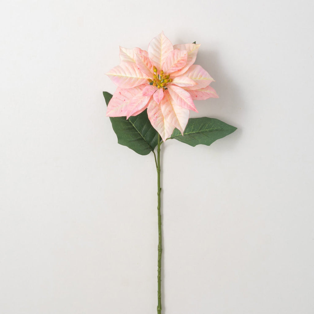 Pink Poinsettia Stem          