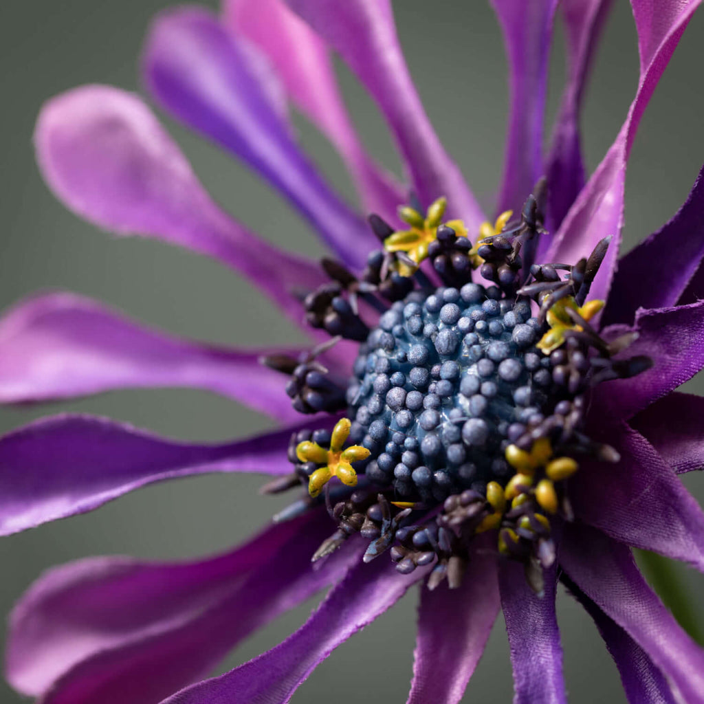 Plum Purple Daisy Bloom Spray 