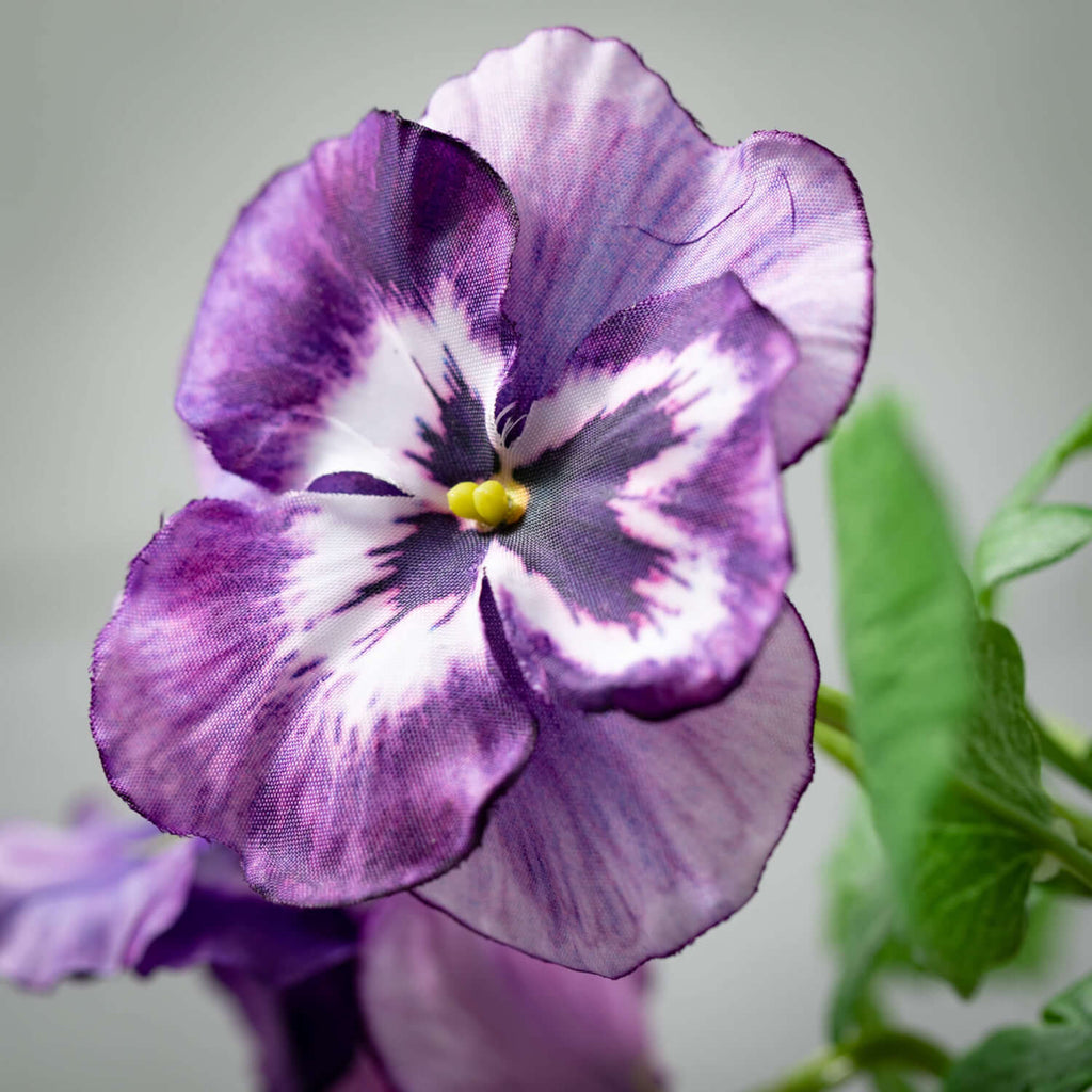 Violet Vibrant Pansy Spray    