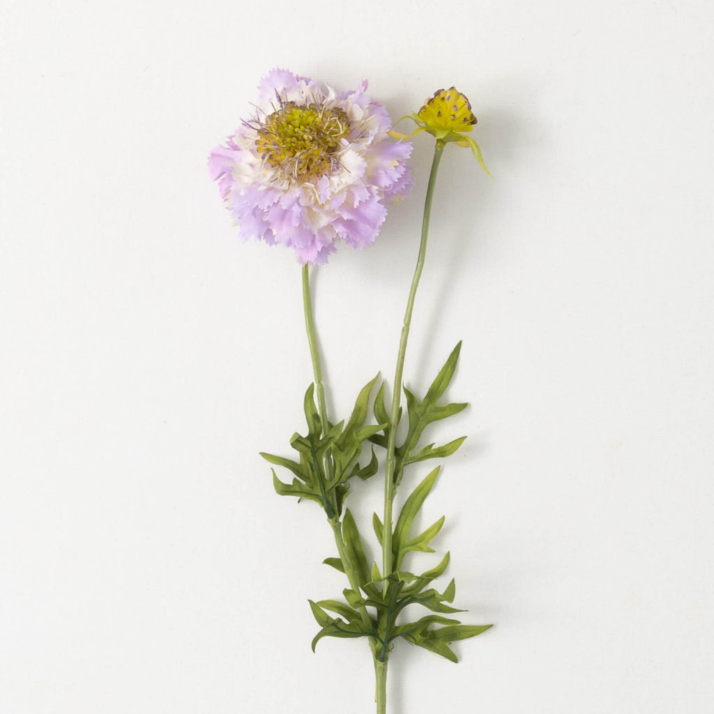 Light Purple Scabiosa Spray   