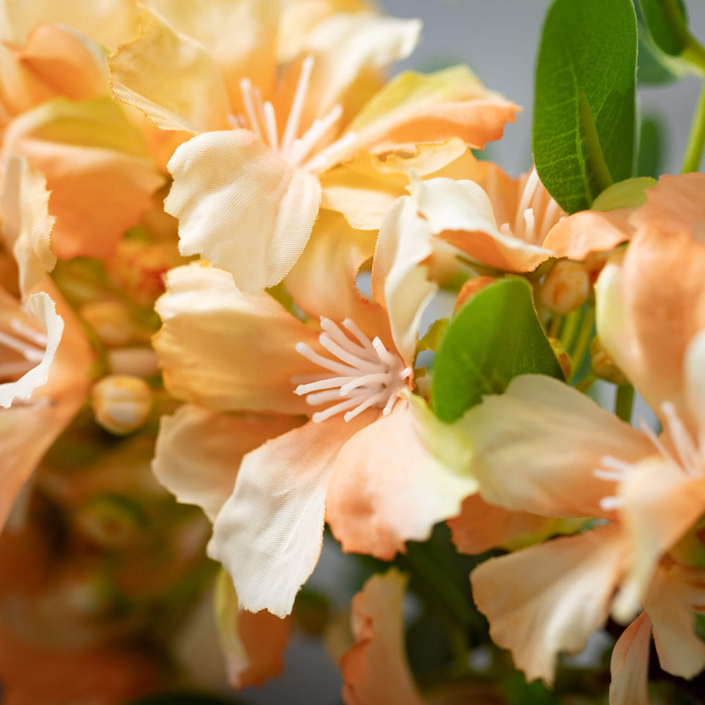 Yellow Wild Floral Blossom    