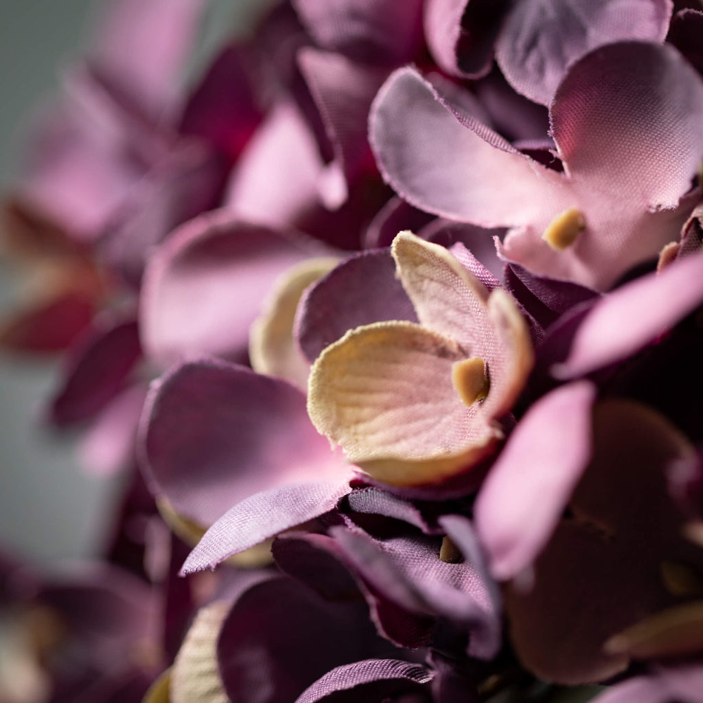 Rich Fall Plum Hydrangea Stem 