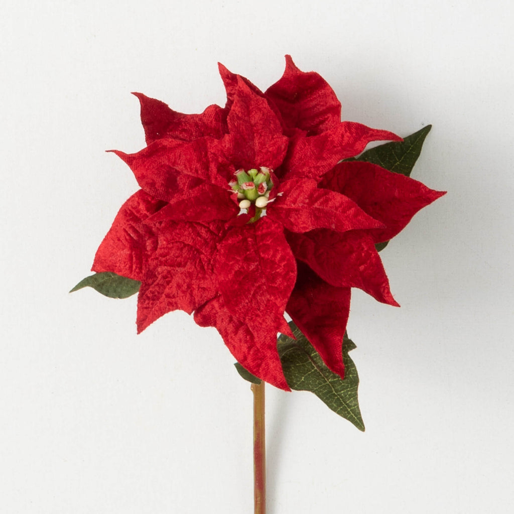 Vivid Red Poinsettia Stem     