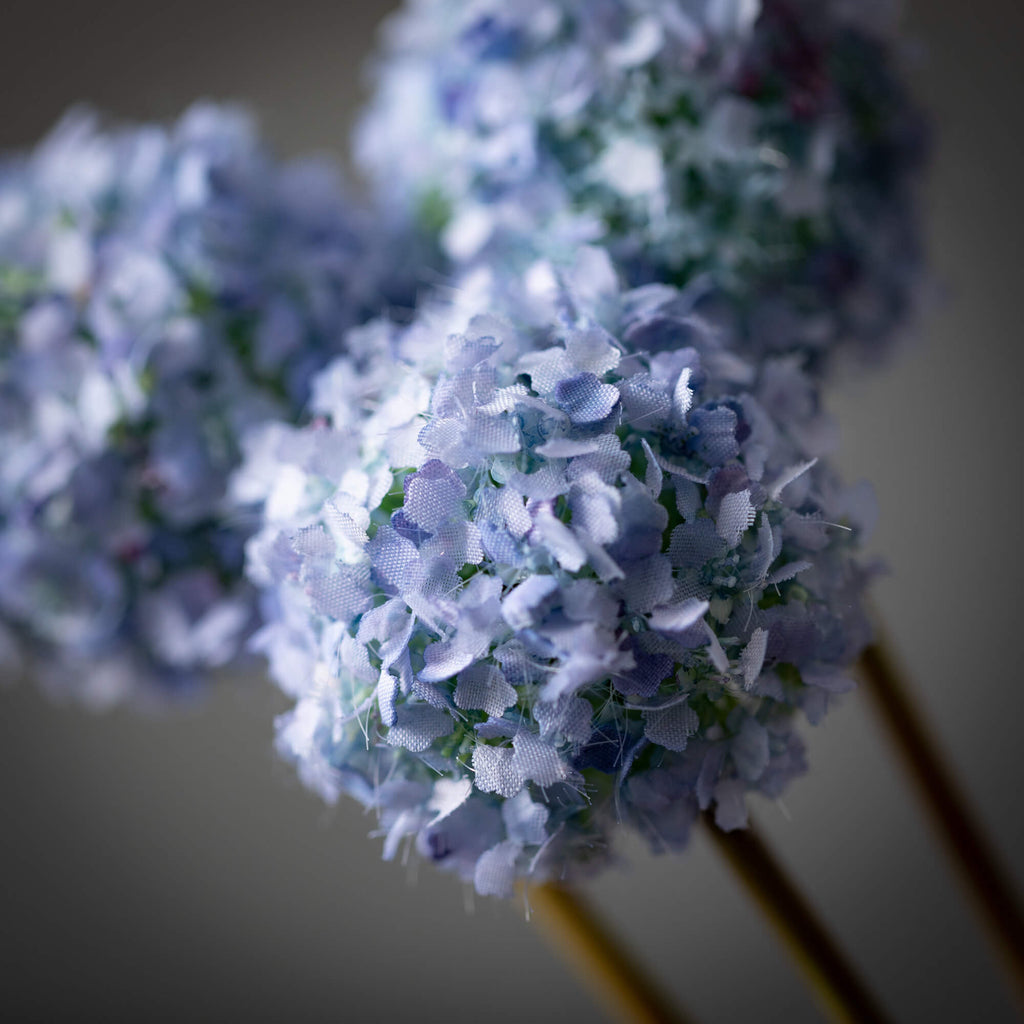 Blue Spring Allium Bunch      