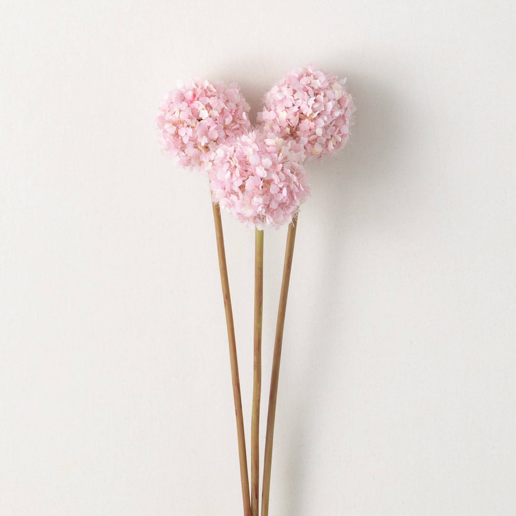 Pink Allium Spring Bunch      