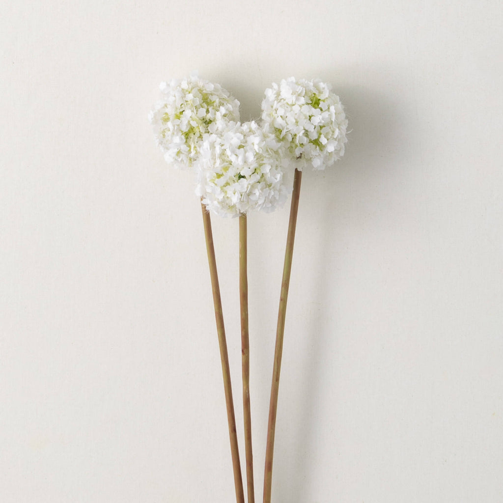 White Allium Spring Bunch     