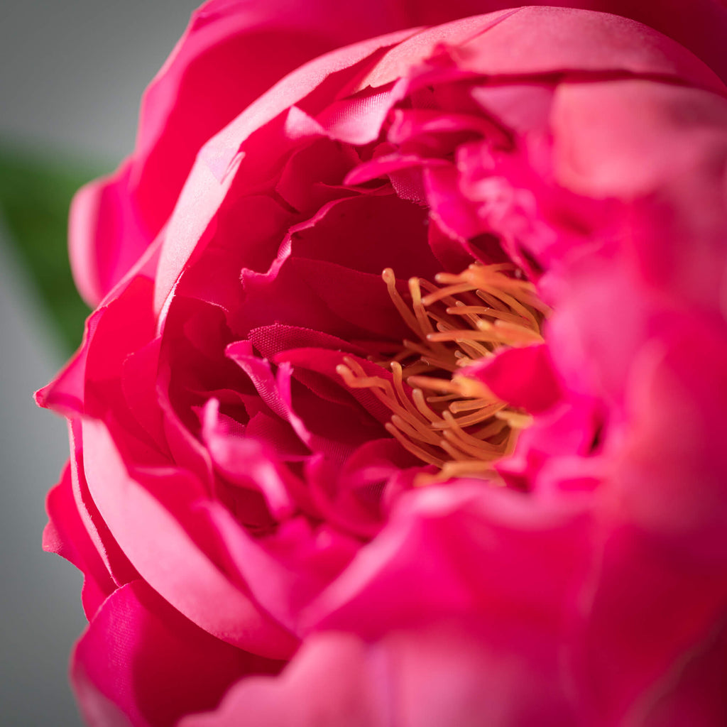 Freshcut® Deep Pink Peony Spra