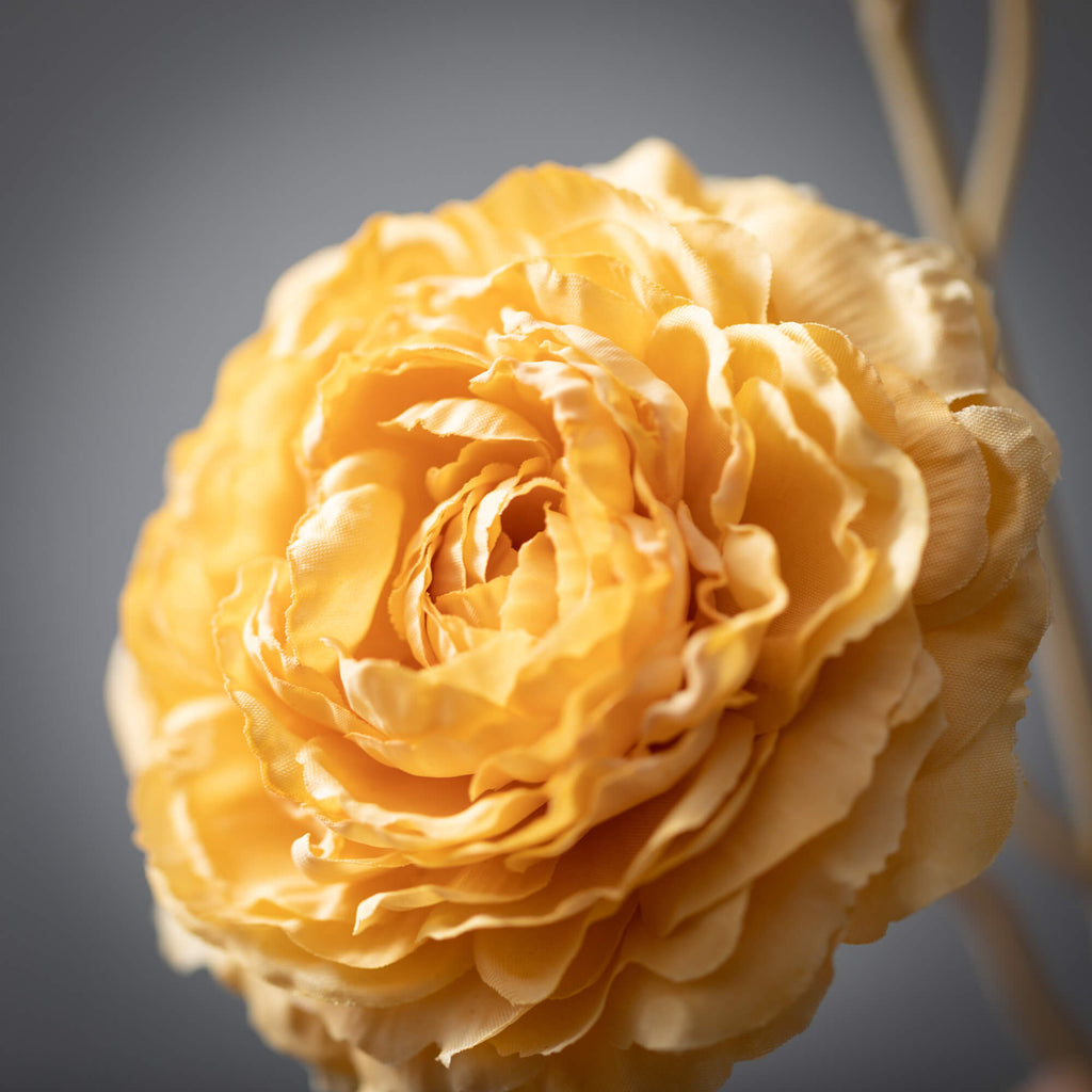 Yellow  Ranunculus Spring Spra