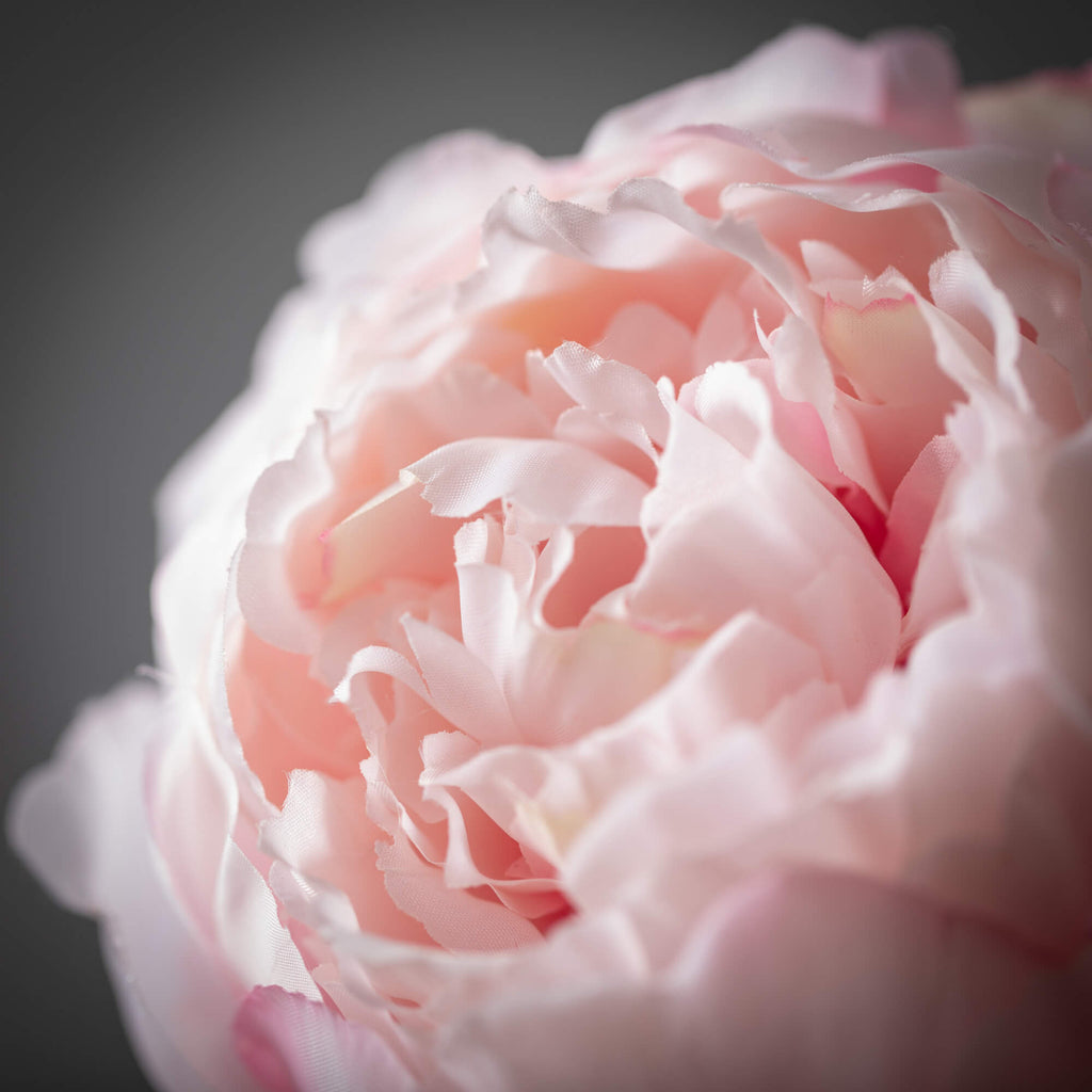 Light Pink Peony Spray        