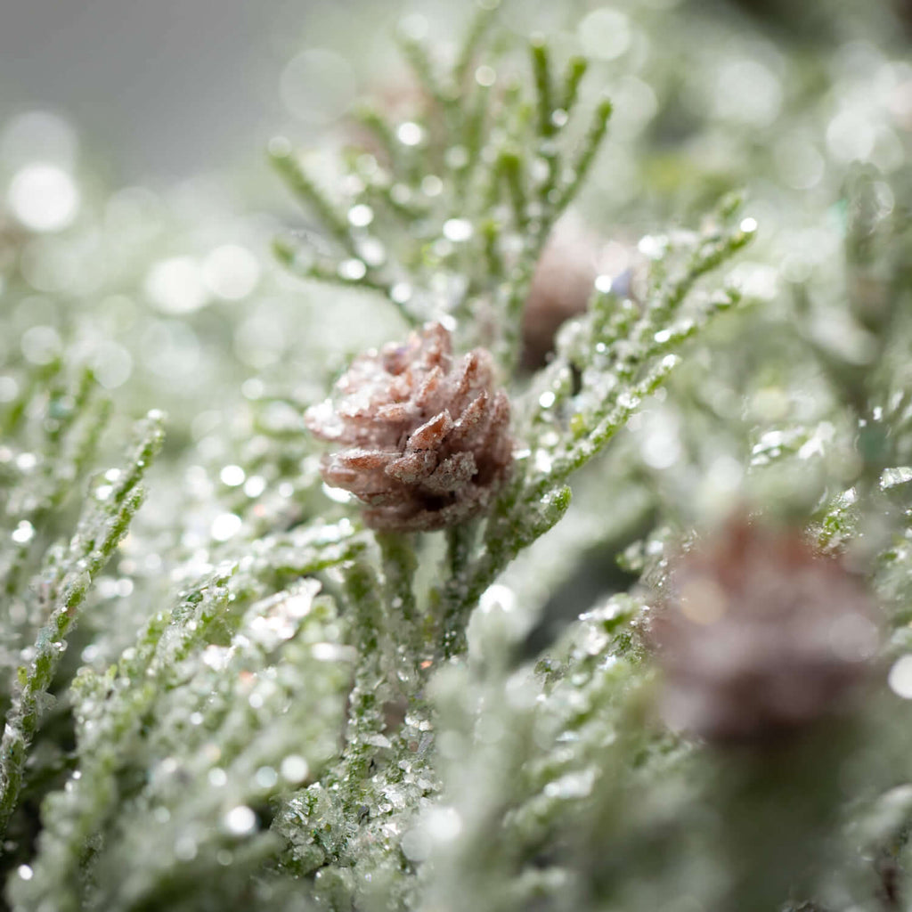 Frosted Cedar Garland         