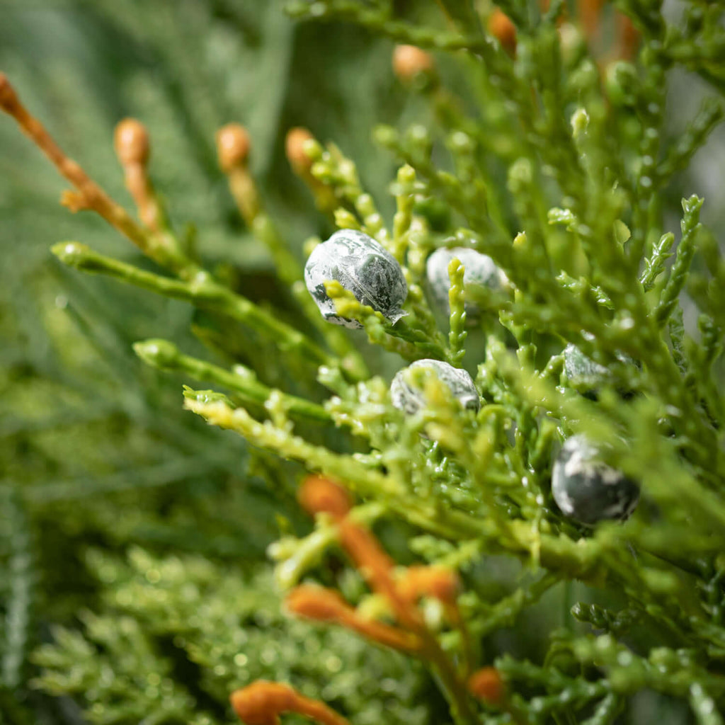 Mixed Pine & Juniper Garland  