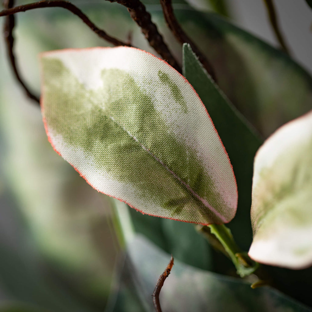 Cool Green Mixed Leaf Bush    