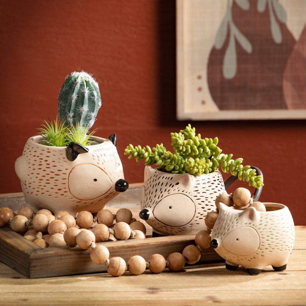 Kitschy Hedgehog Planter Set  