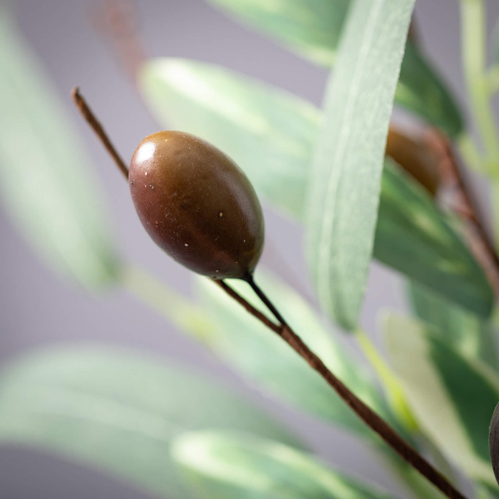 Rustic Olive Leaf Spray       