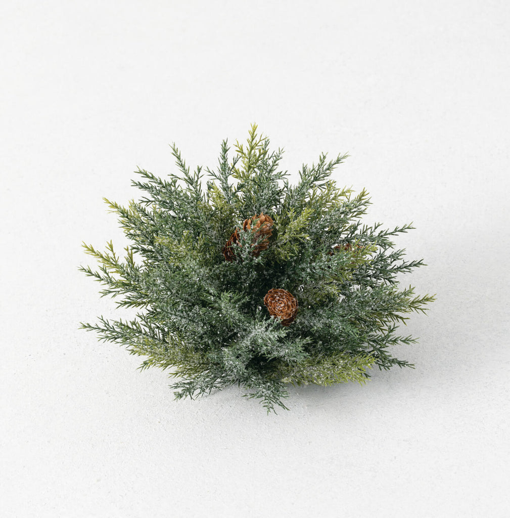 Frosted Arborvitae Orb        