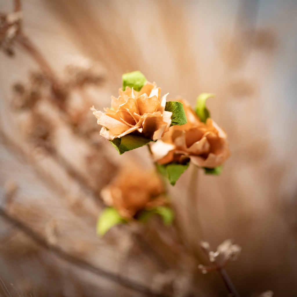 Pampas Grass Berry Bush       