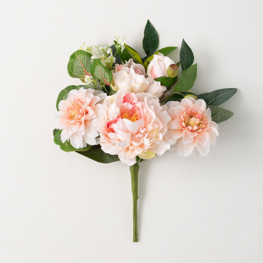 Blush Blossoming Peony Bush   