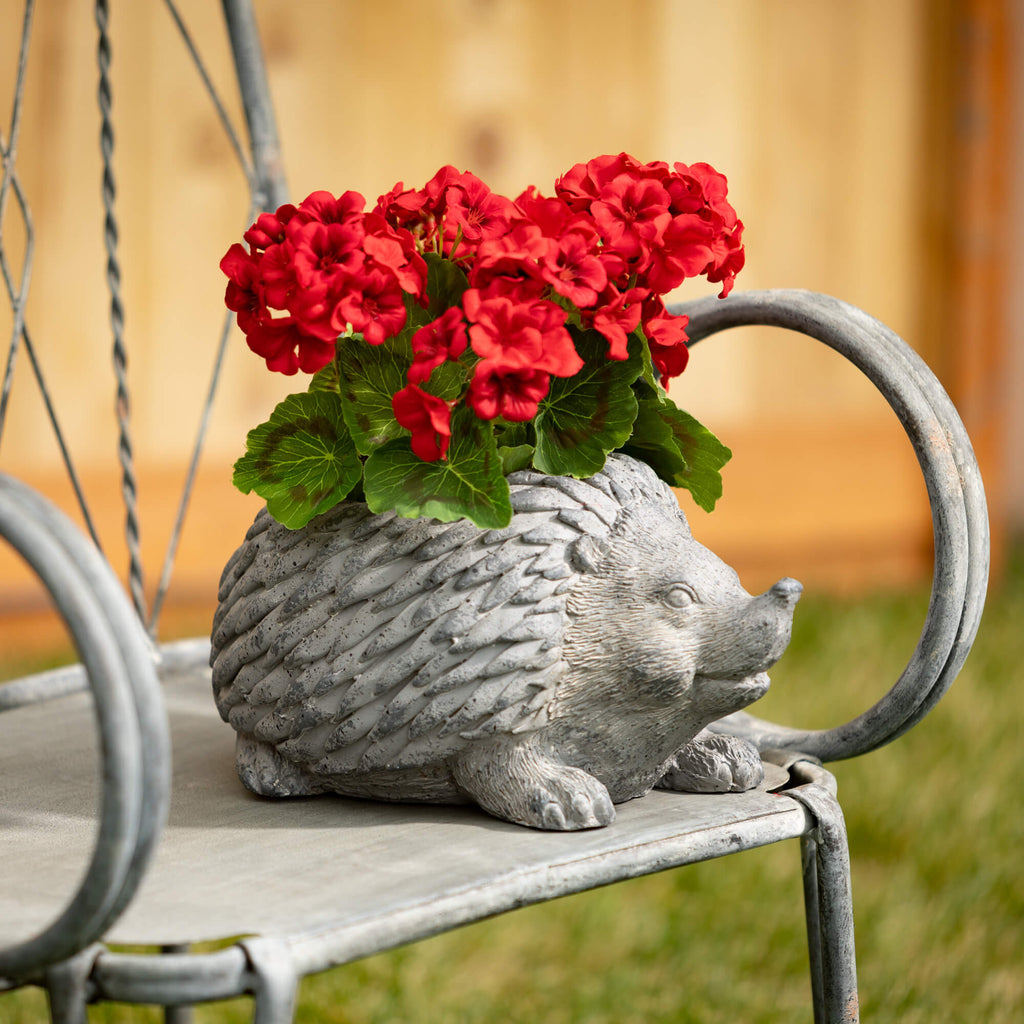 Charcoal Hedgehog Planter     