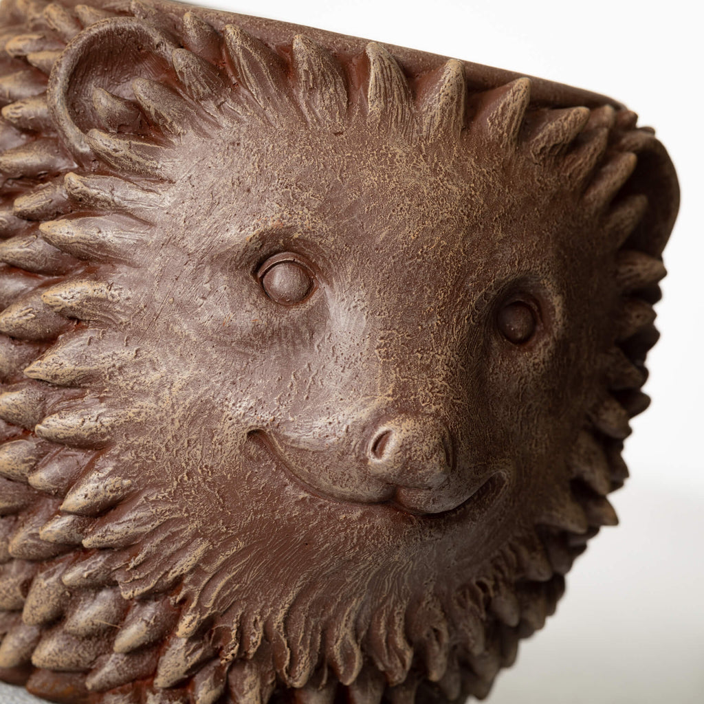 Brown Outdoor Hedgehog Planter