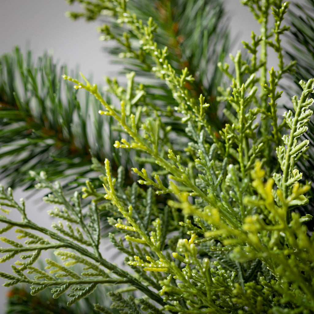 Lush Green Douglas Fir Pick   