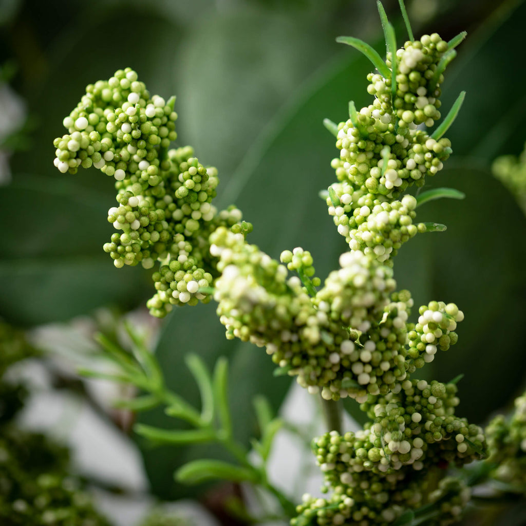 Seeded Eucalyptus Spray       