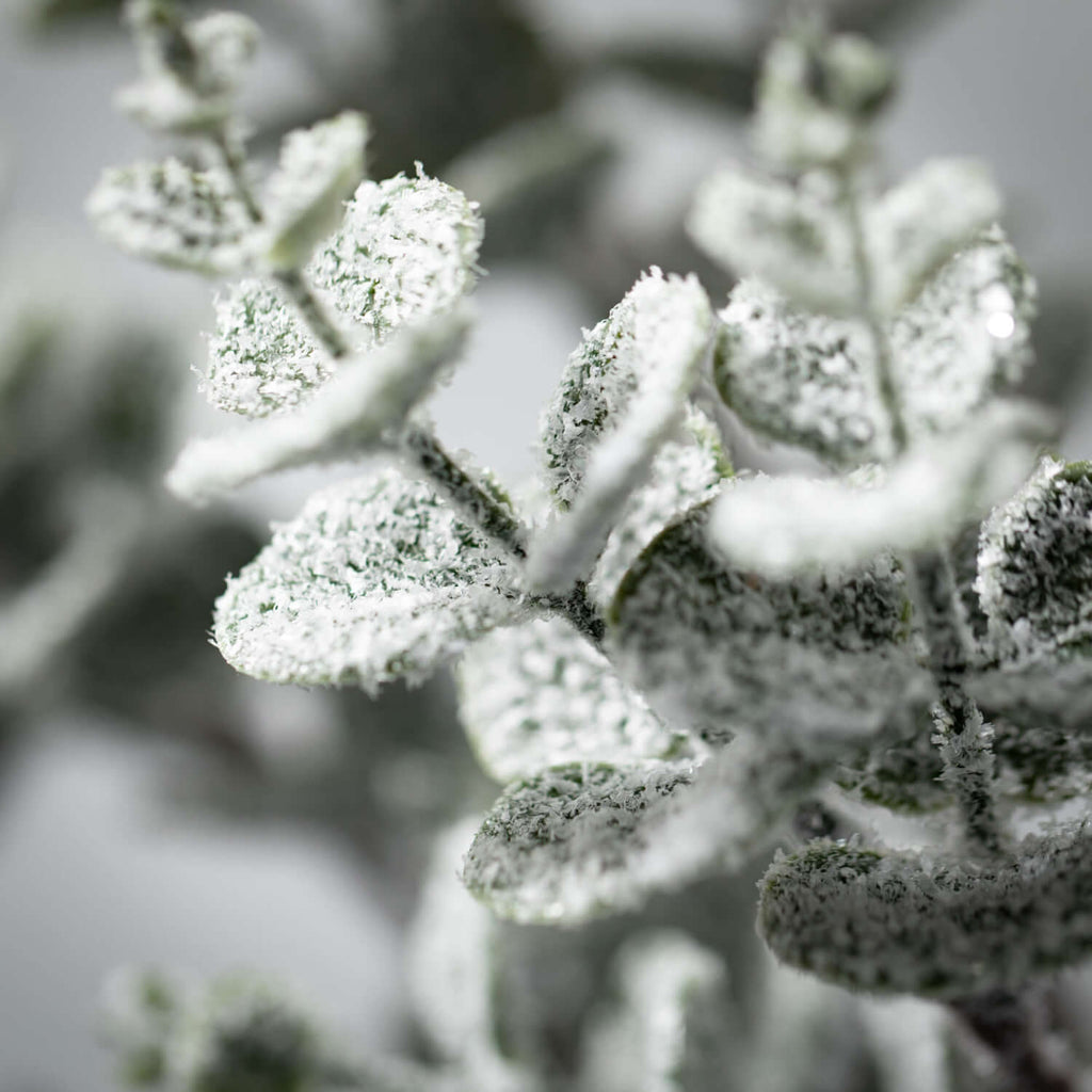 Frosted Eucalyptus Swag       