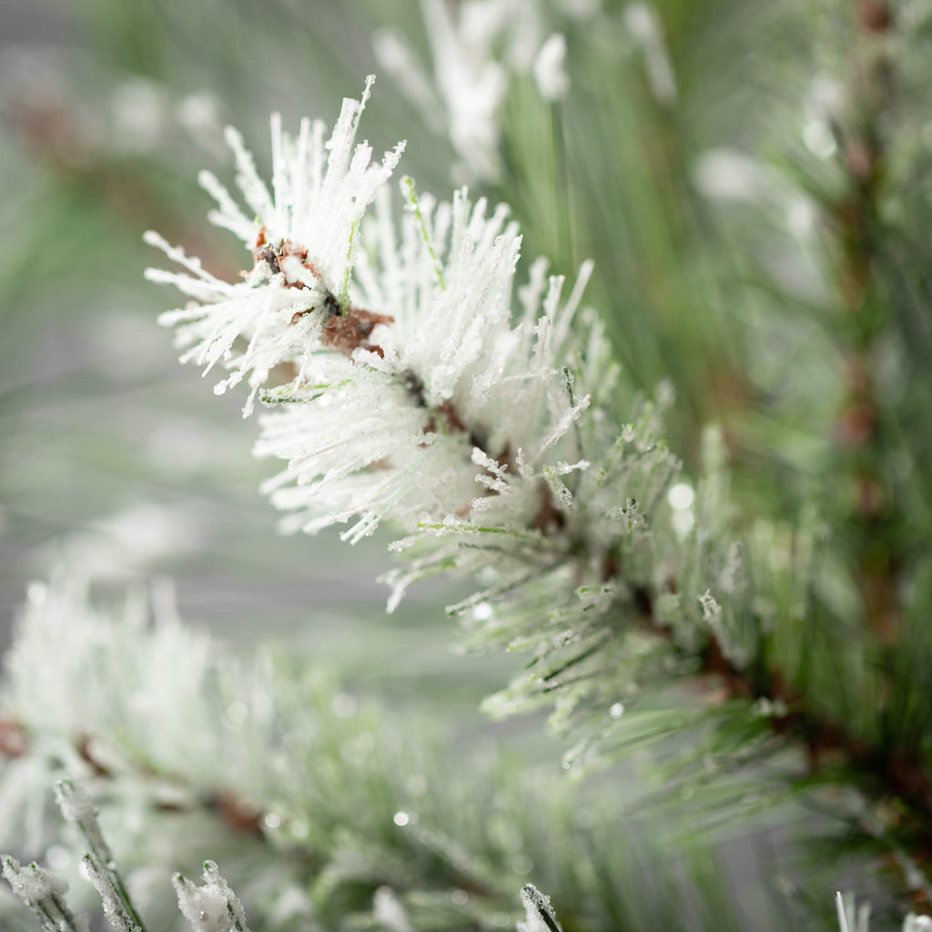 Frosted Fuzzy Pine Spray      