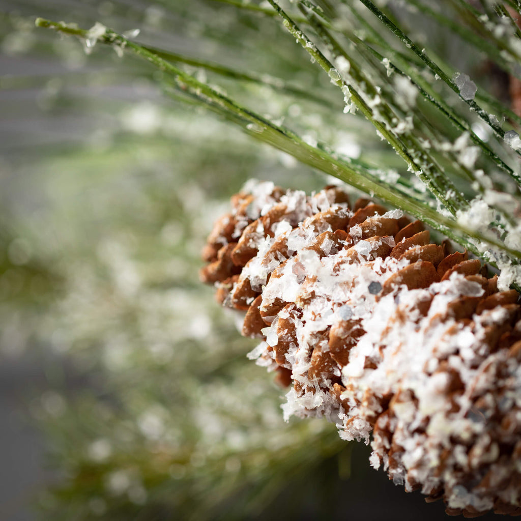 Snowy Long Needle Pine Spray  