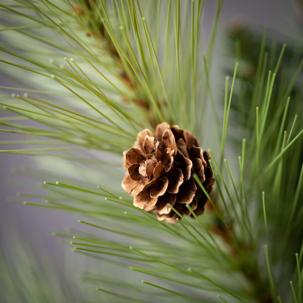 Lush Small Mixed Pine Spray   