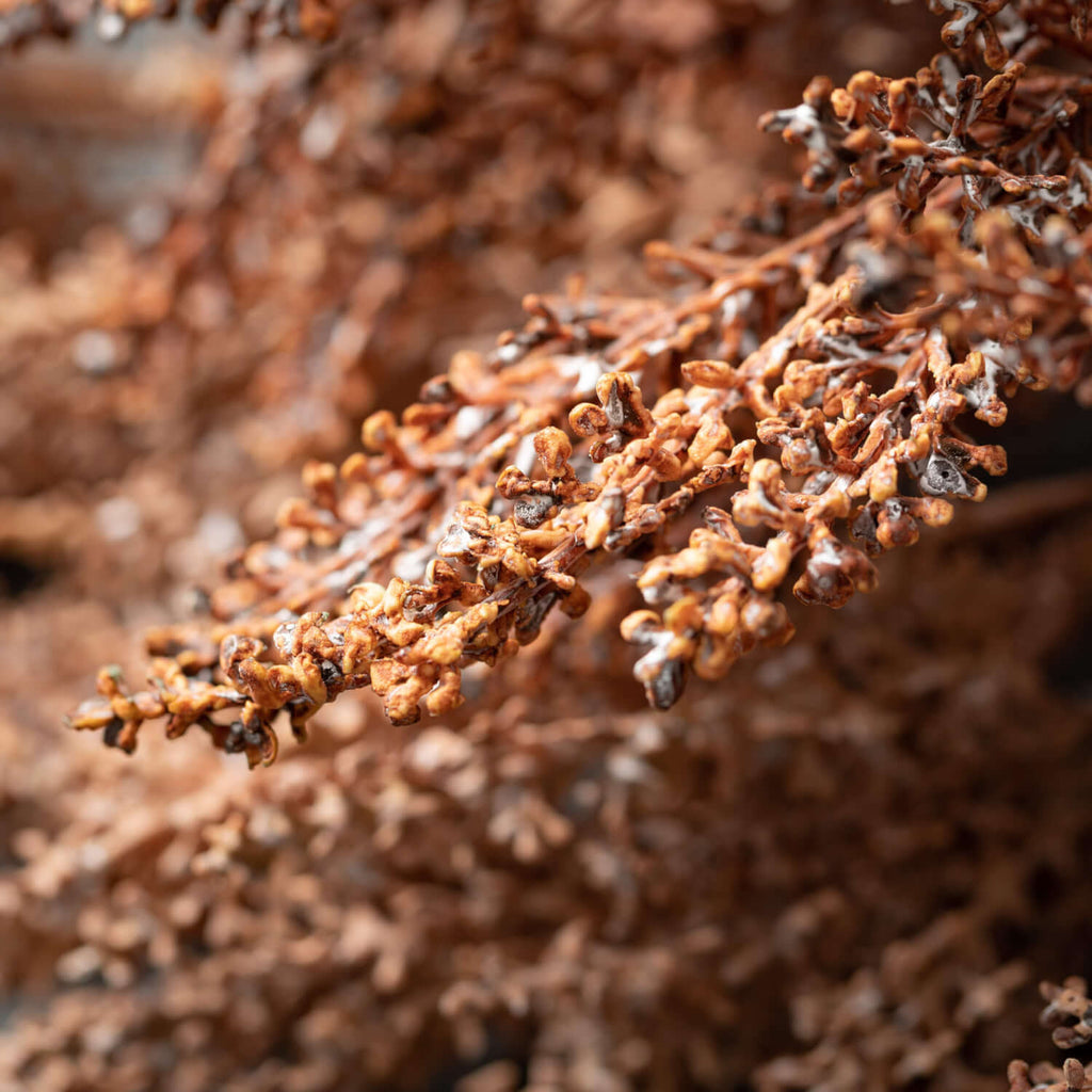 Faux Dried Blush Grass Spray  