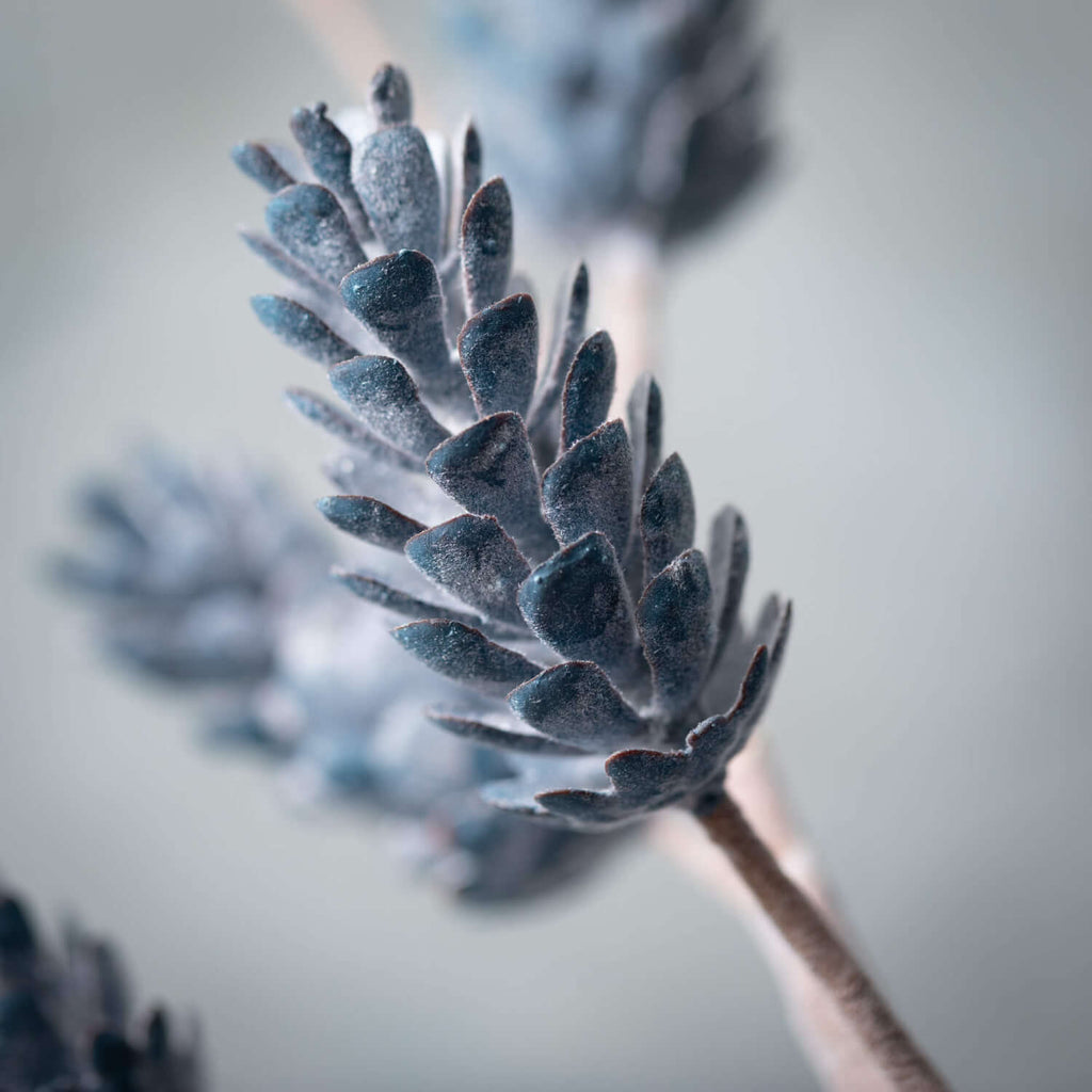 Blue Pinecone Spray           