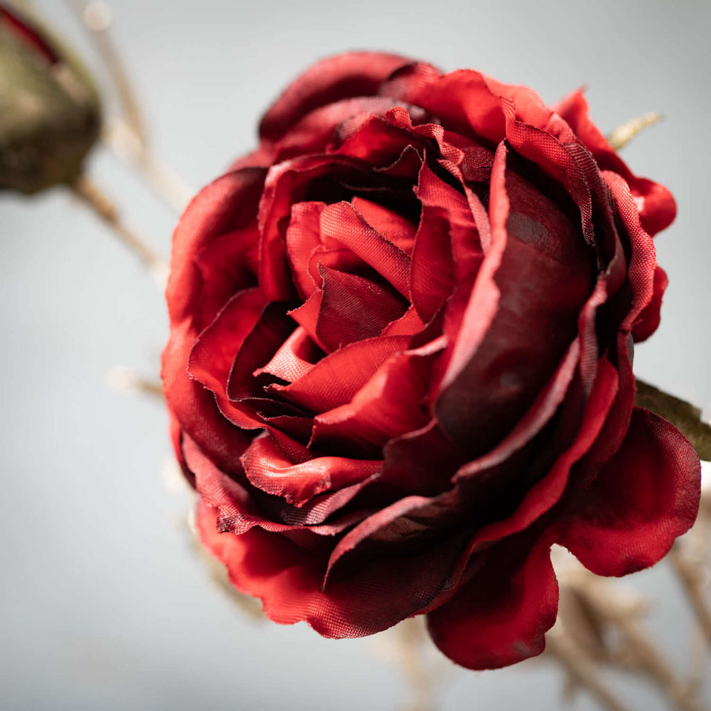 Red Rose With Gilded Stem     