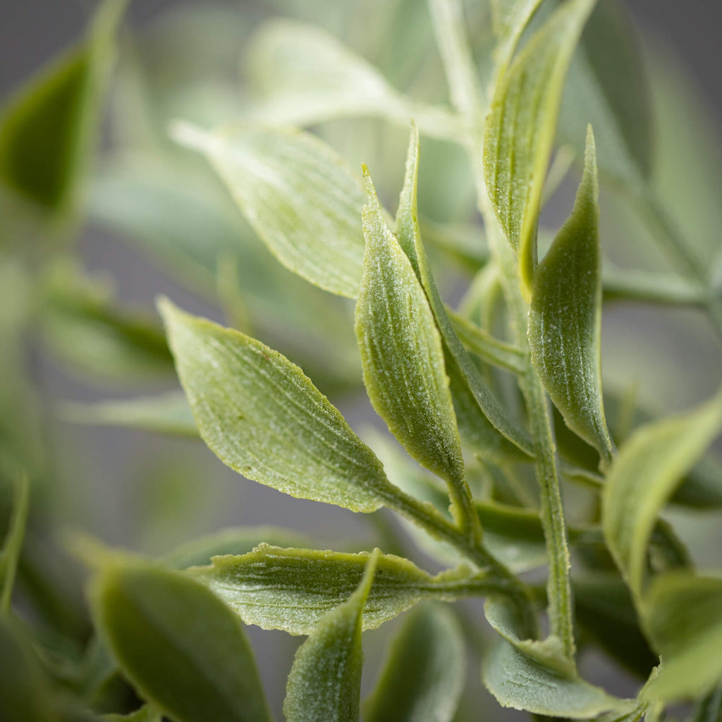 Dusted Tea Leaf Drop          