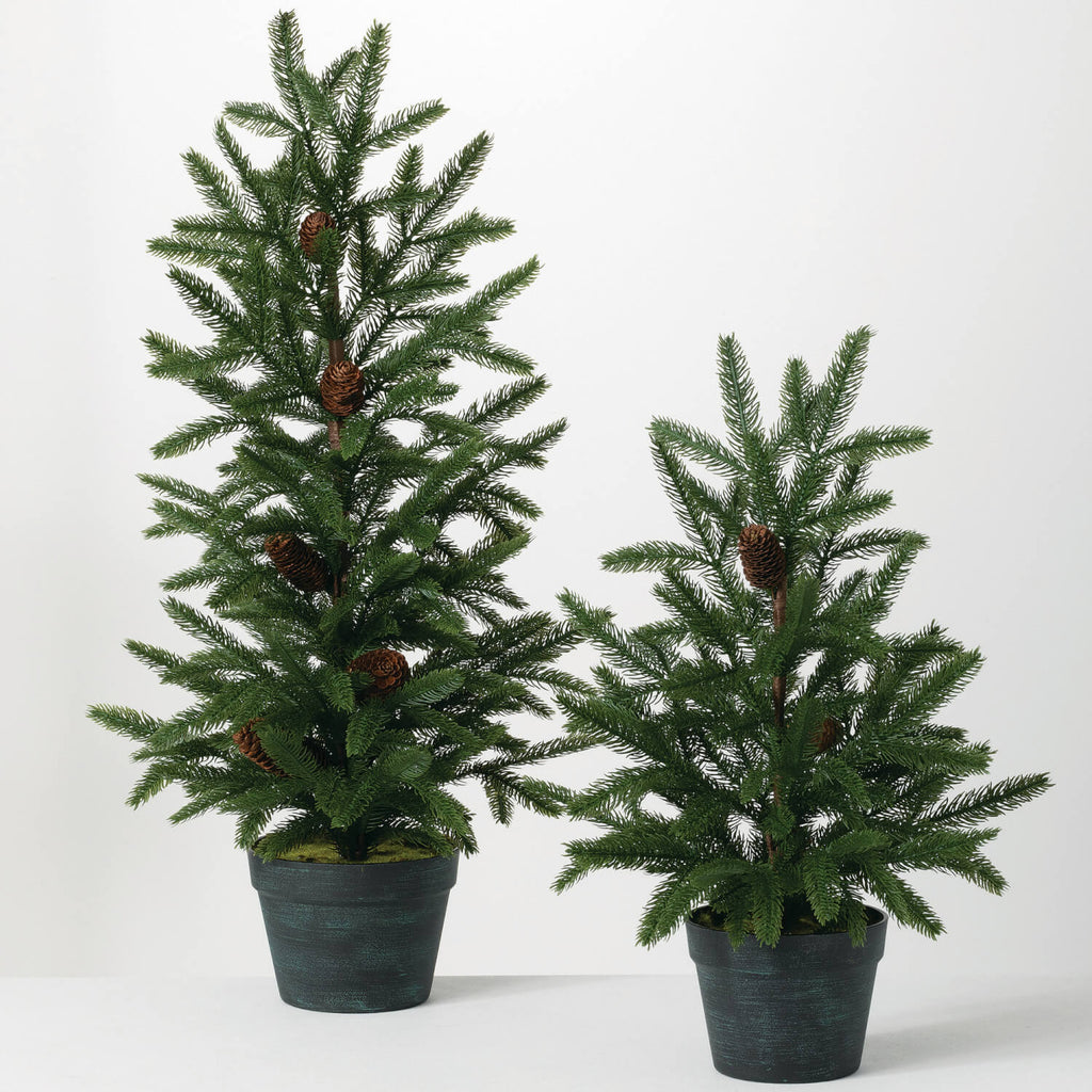 Pinecone Pine Tree Set Of 2   