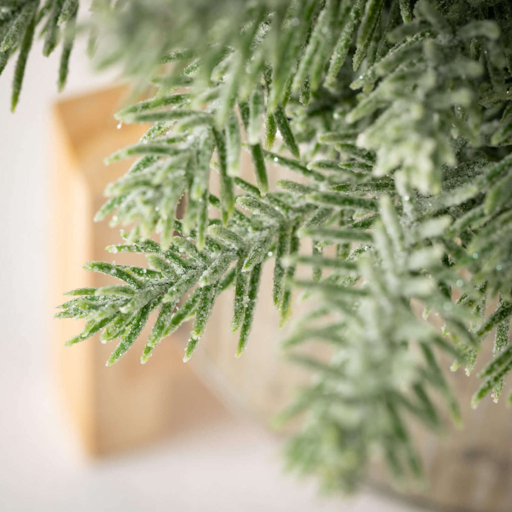 Frosted Pine Tree Premade     