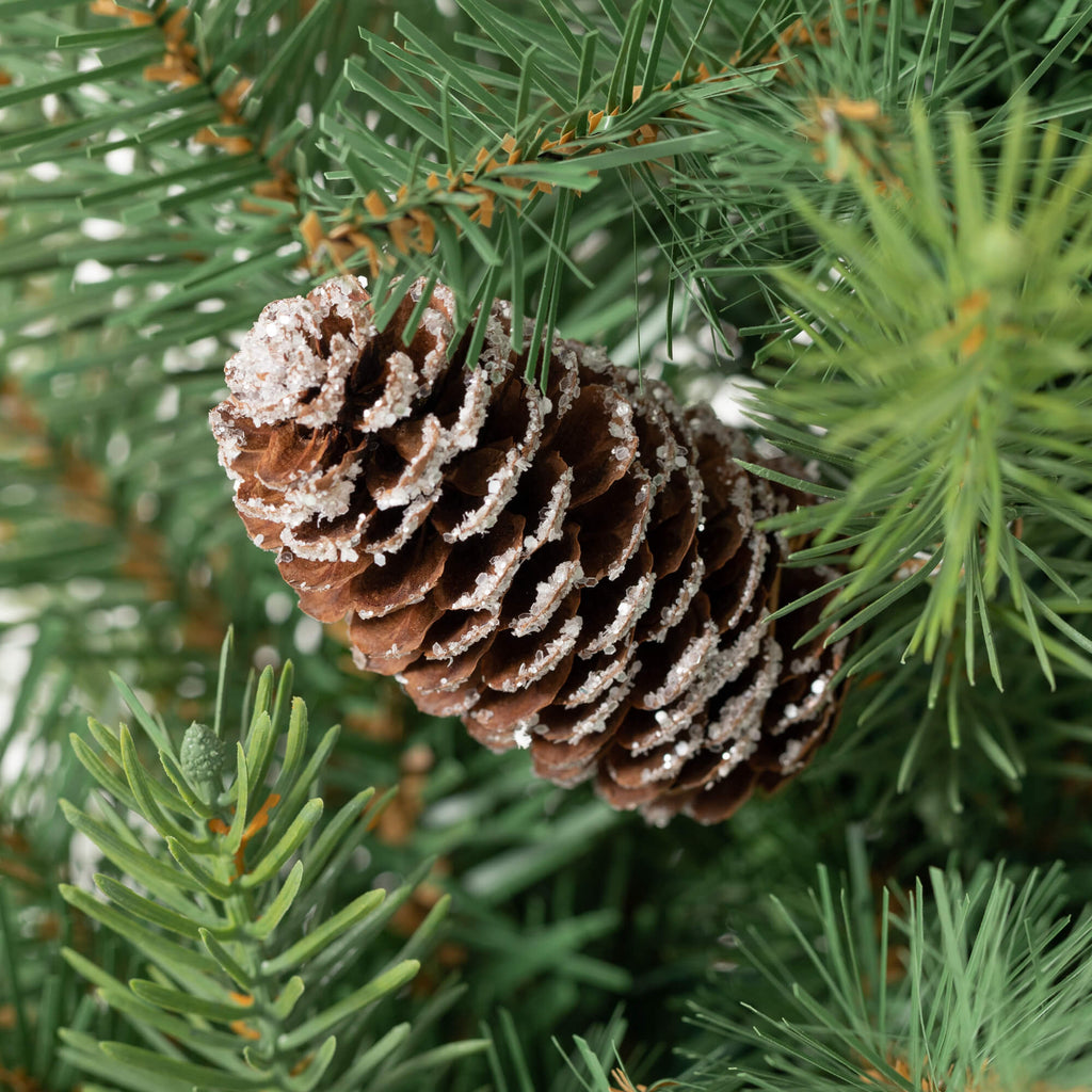 Small Pinecone Tree In Burlap 