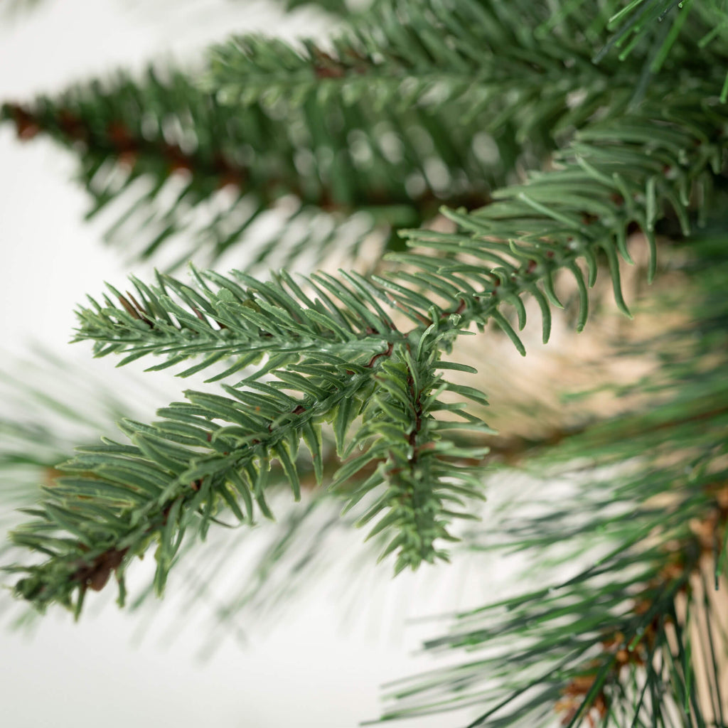 Small Mixed Pine Burlap Tree  