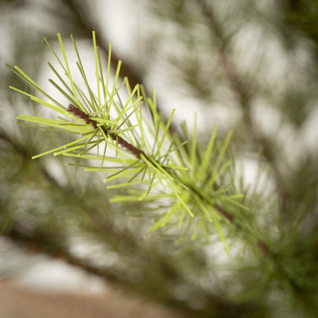 3' Chartreuse Pine Tree       