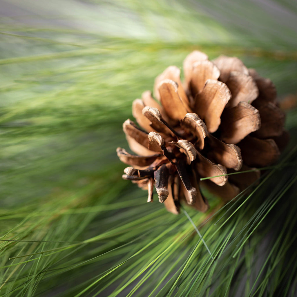 Long Pine & Pinecone Wreath   