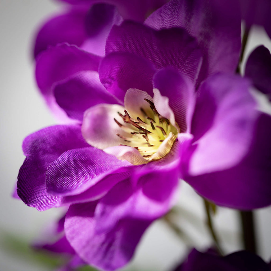 Perky Purple Delphinium Spray 